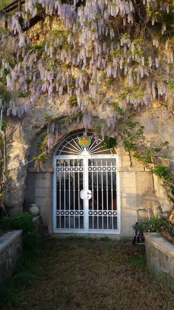 immagine annuncio 6 di 13