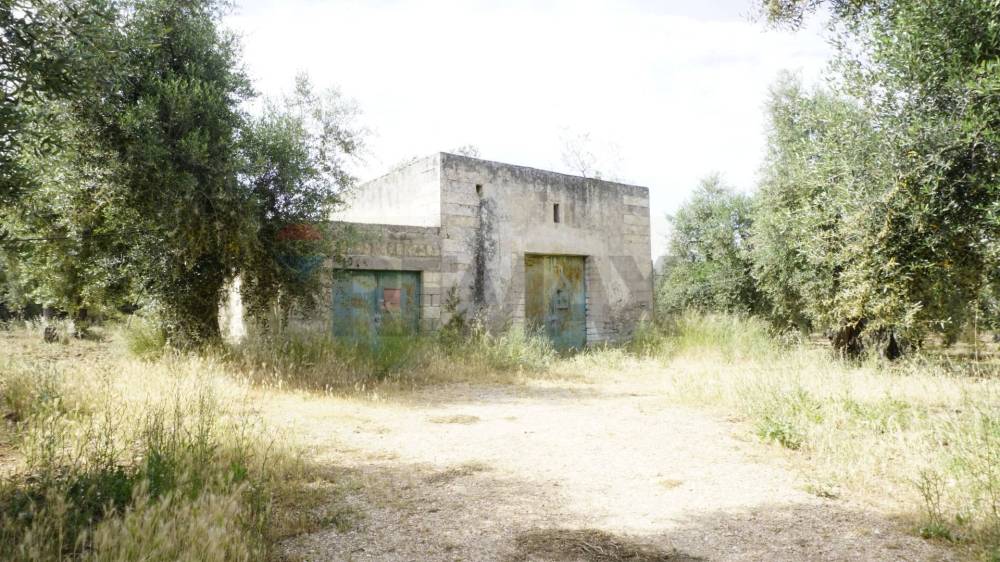 immagine annuncio 4 di 13