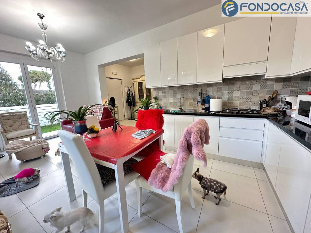 immagine annuncio 2 di 13