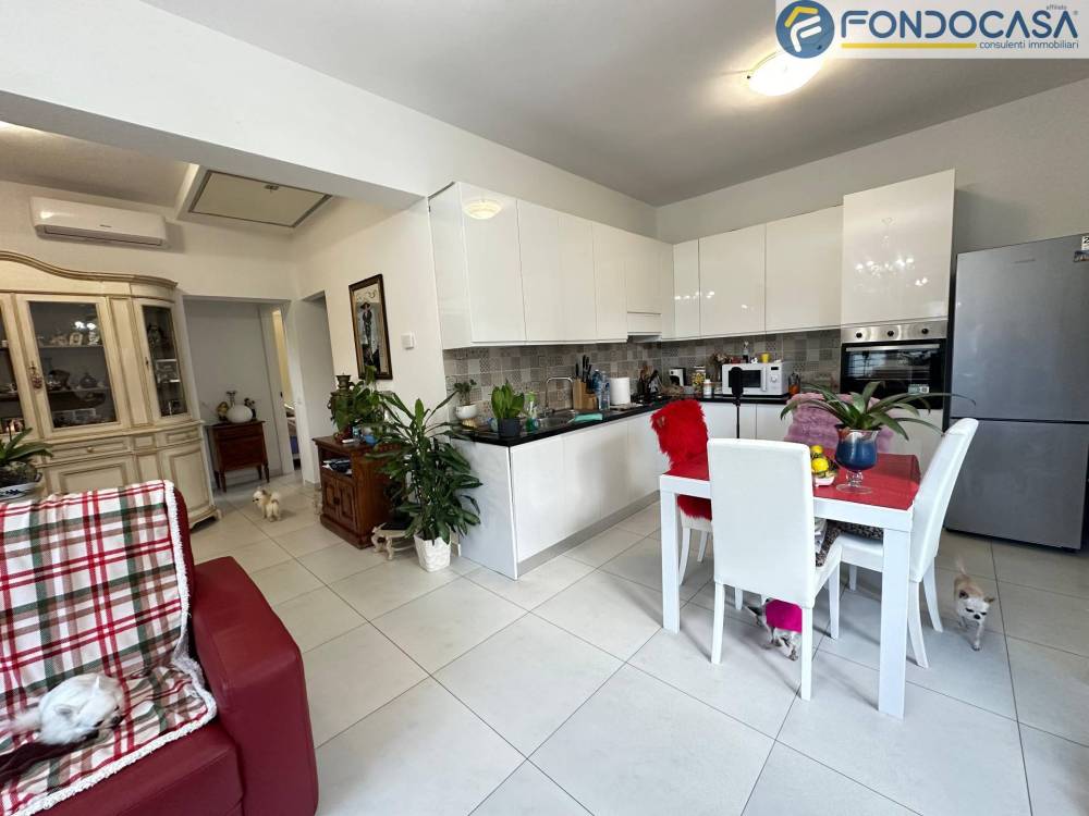 immagine annuncio 1 di 13