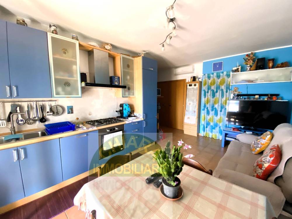 immagine annuncio 1 di 13