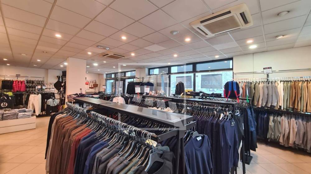 immagine annuncio 4 di 13