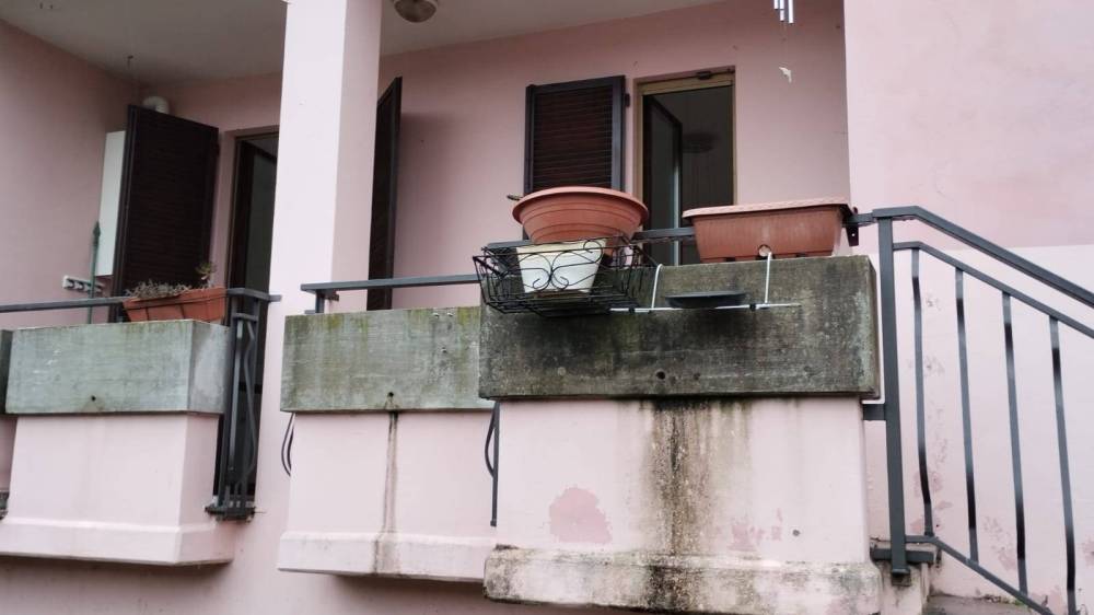 immagine annuncio 2 di 13