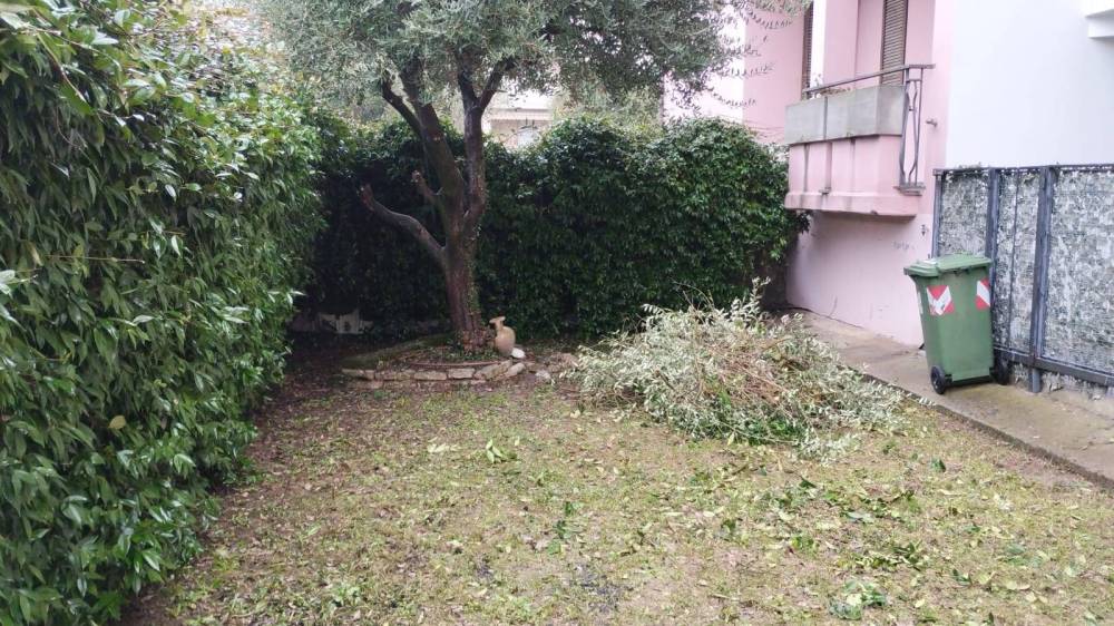 immagine annuncio 9 di 13