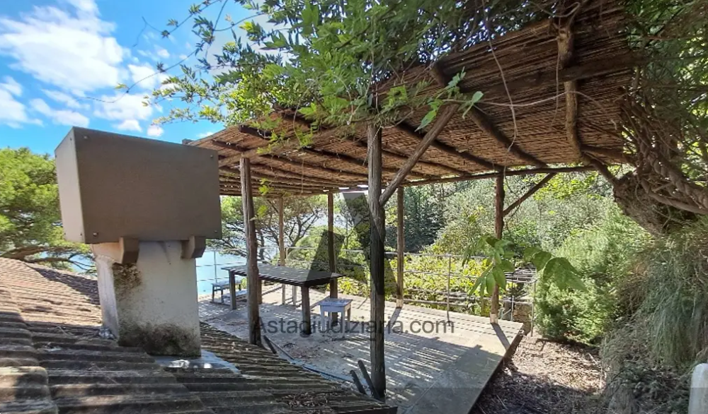 immagine annuncio 7 di 13