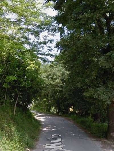 immagine annuncio 5 di 13