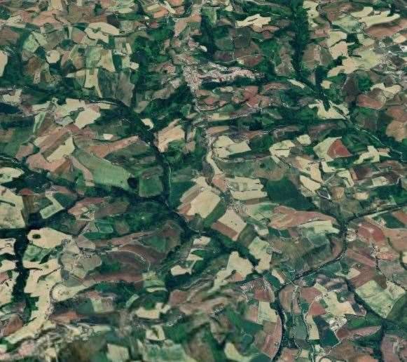 immagine annuncio 11 di 13