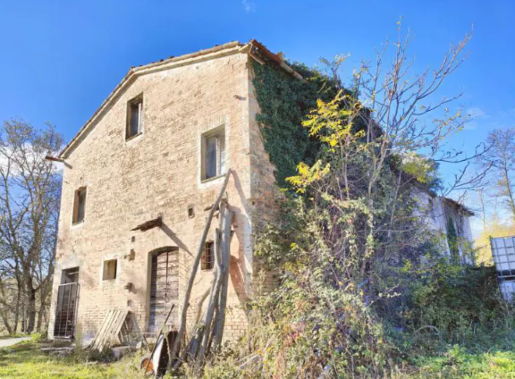 immagine annuncio 1 di 13