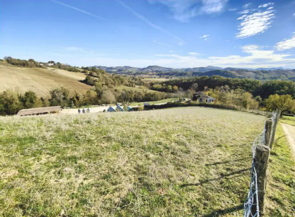 immagine annuncio 3 di 13