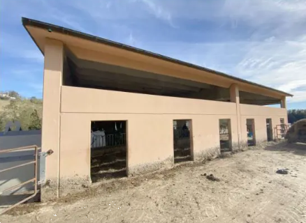 immagine annuncio 4 di 13