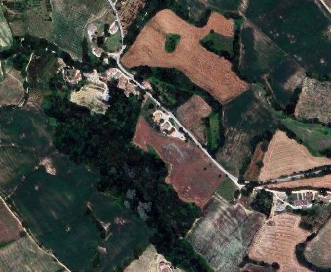 immagine annuncio 6 di 13