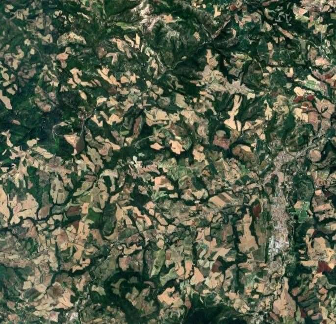 immagine annuncio 8 di 13