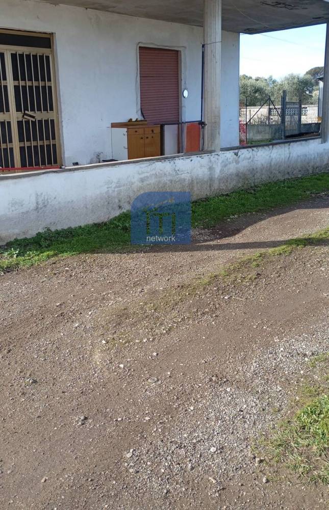 immagine annuncio 4 di 6