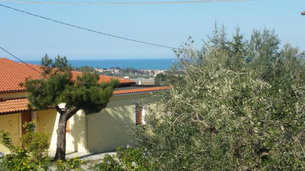 immagine annuncio 2 di 6