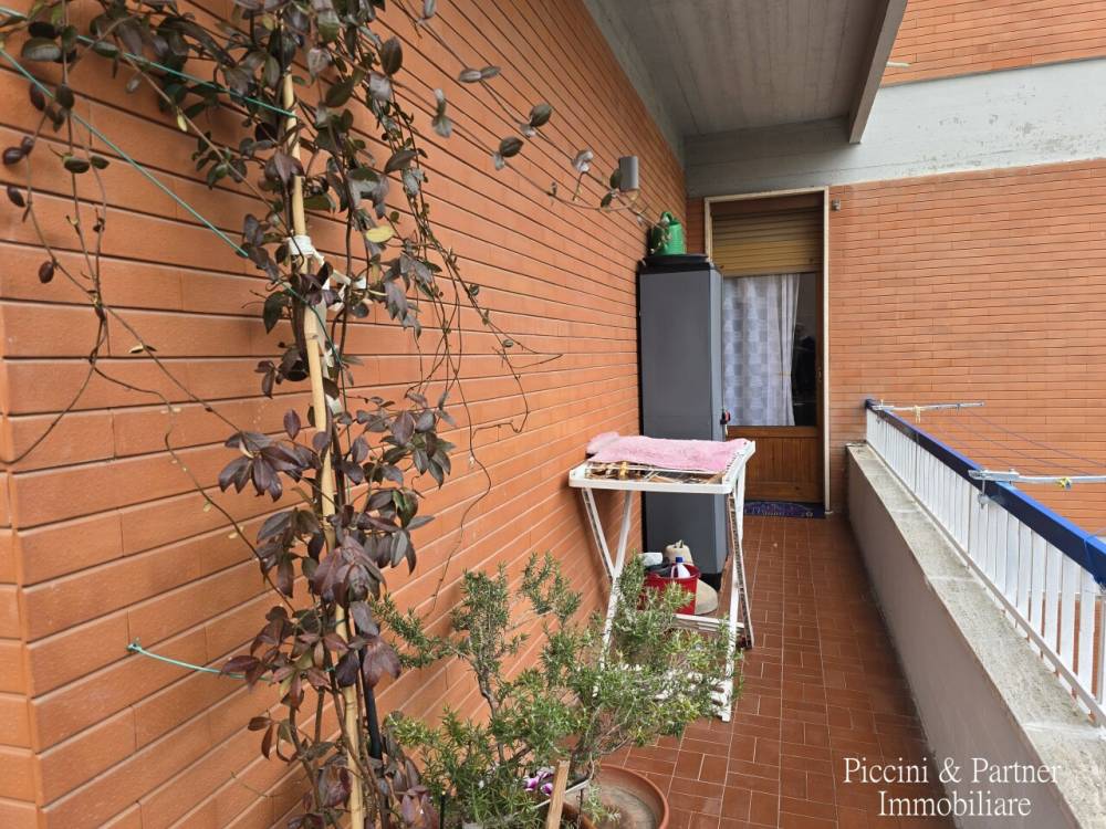 immagine annuncio 9 di 13