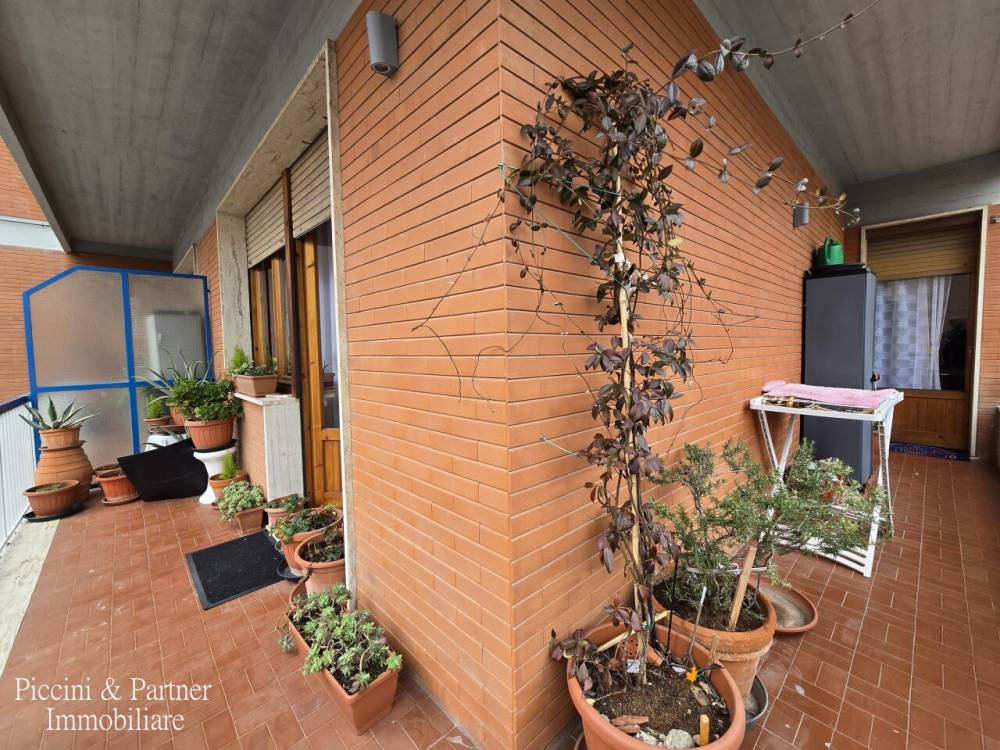 immagine annuncio 10 di 13