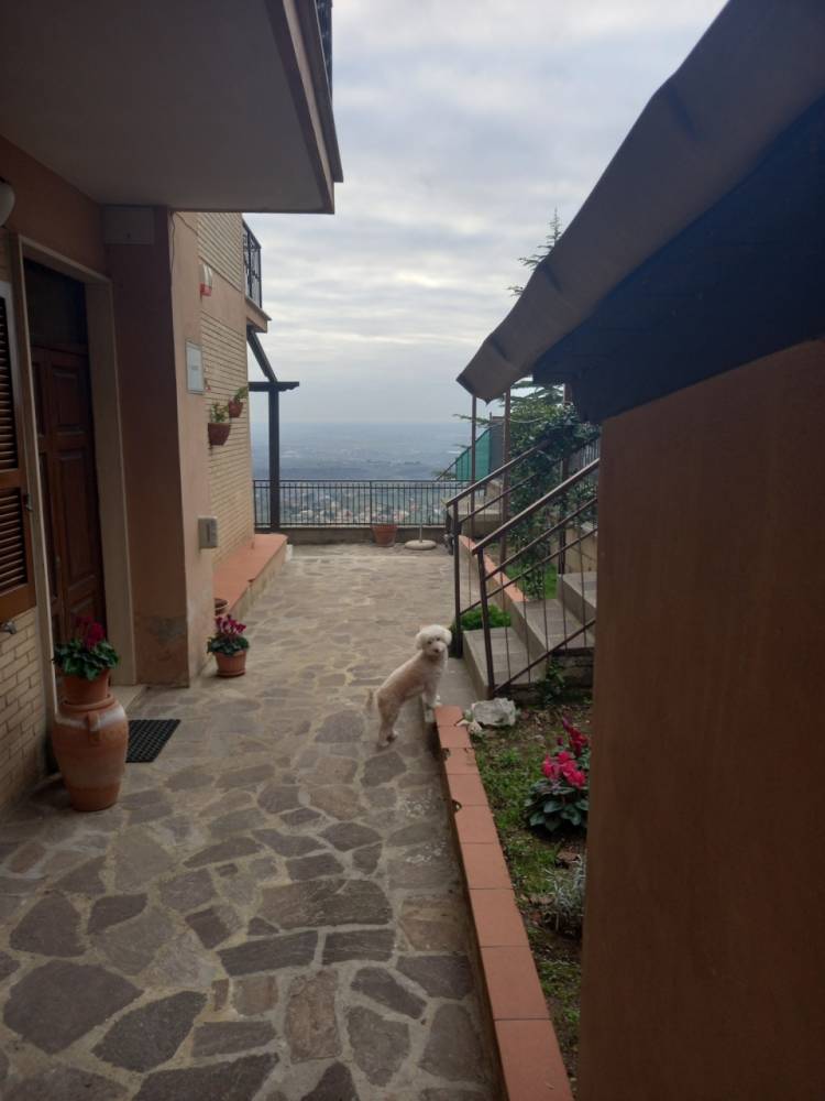 immagine annuncio 2 di 13