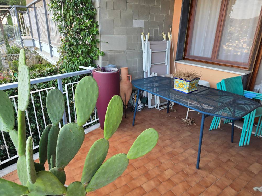 immagine annuncio 11 di 13