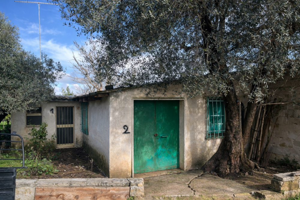 immagine annuncio 6 di 13