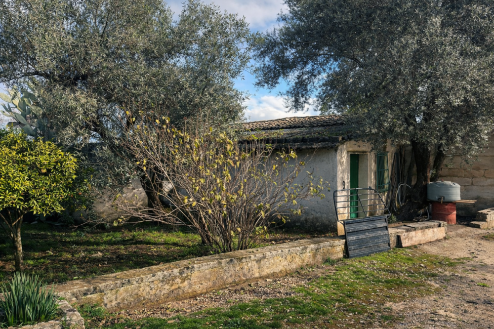 immagine annuncio 10 di 13