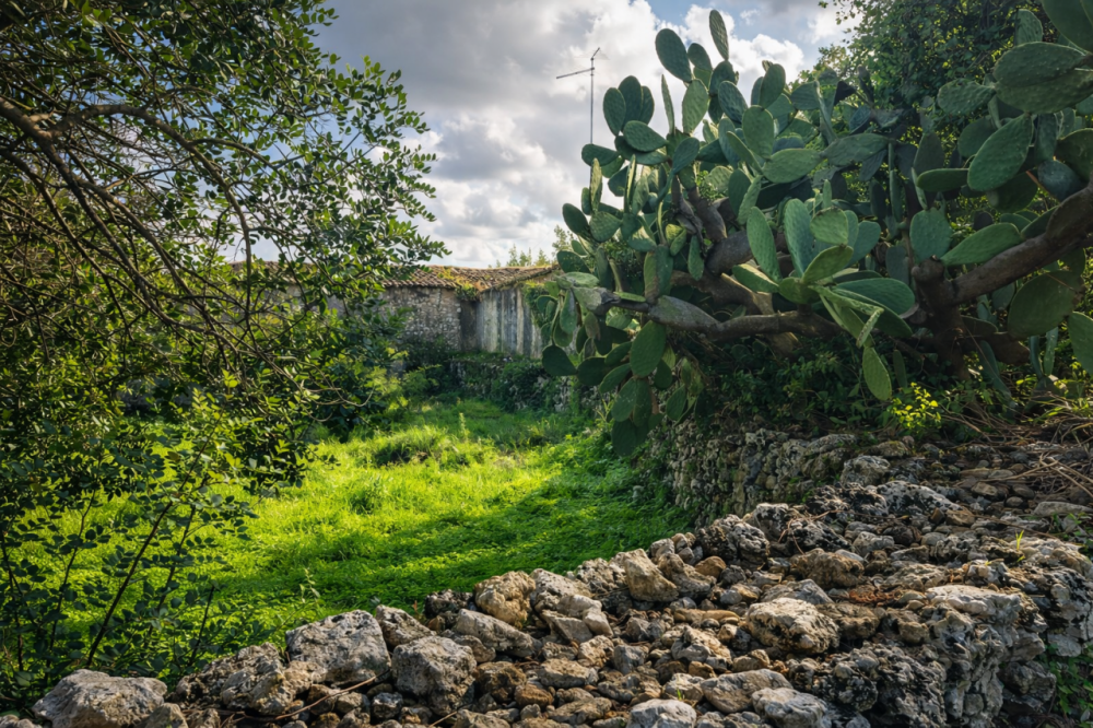 immagine annuncio 11 di 13