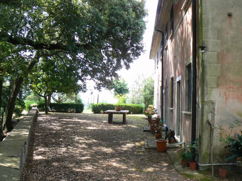 immagine annuncio 5 di 13