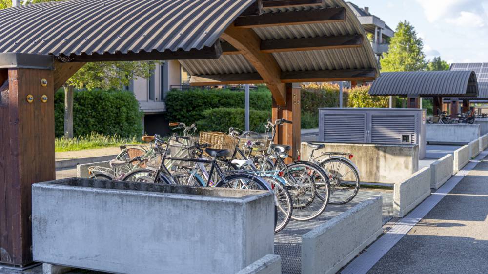 immagine annuncio 12 di 13