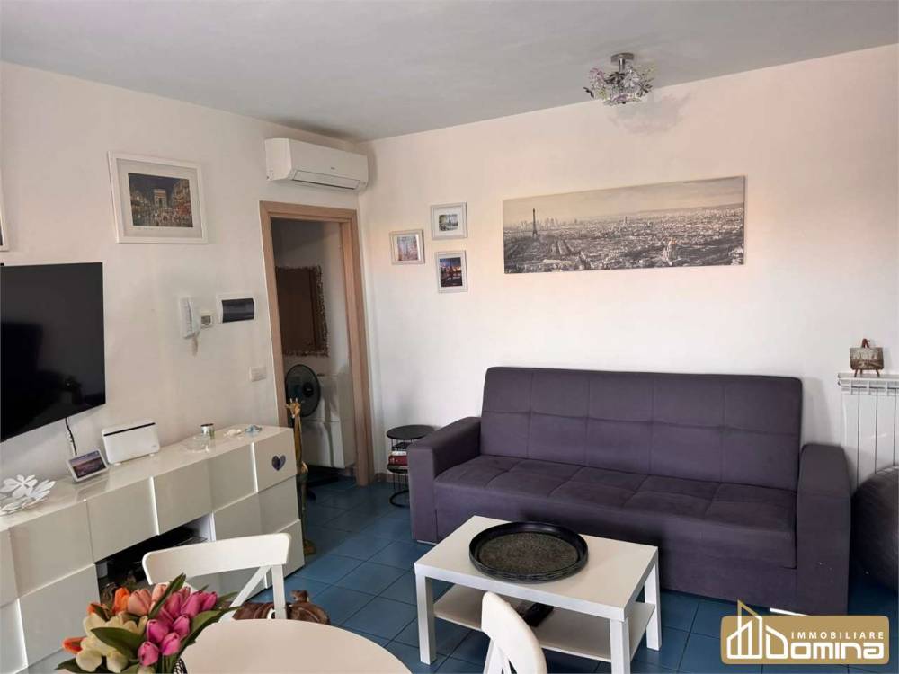 immagine annuncio 6 di 13