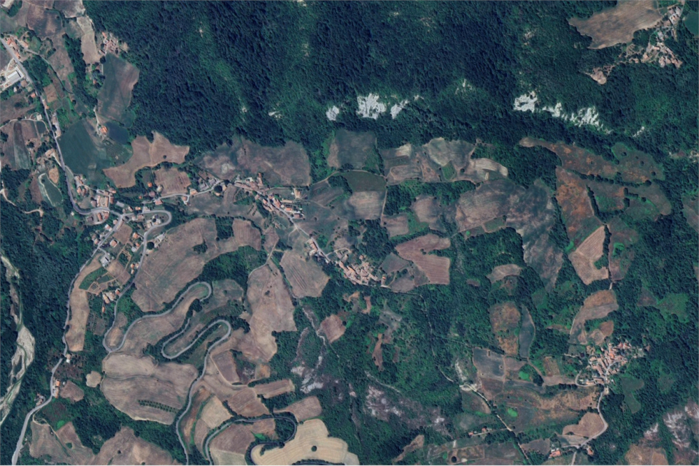 immagine annuncio 11 di 13