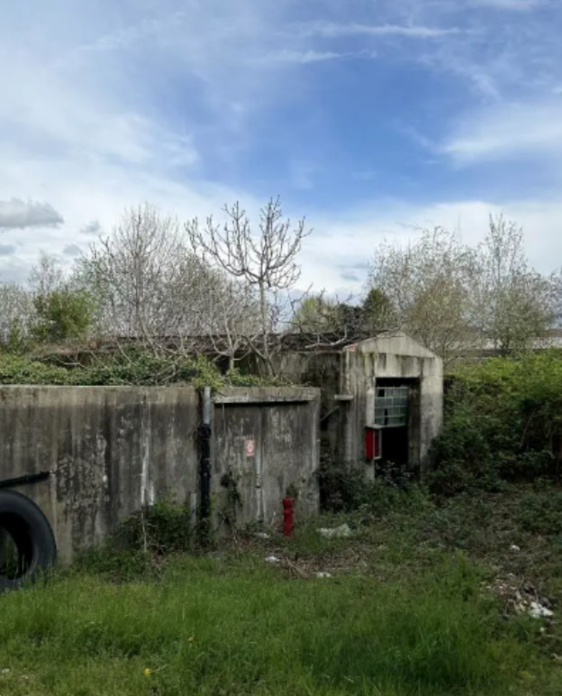 immagine annuncio 3 di 13