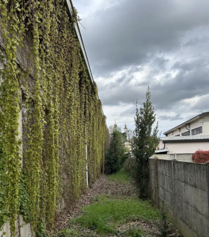 immagine annuncio 8 di 13