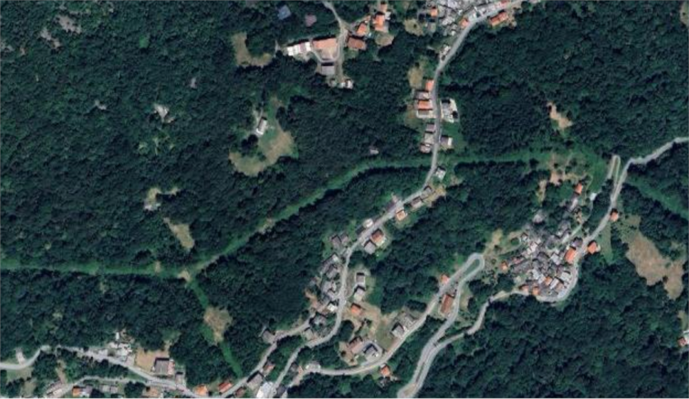 immagine annuncio 12 di 13