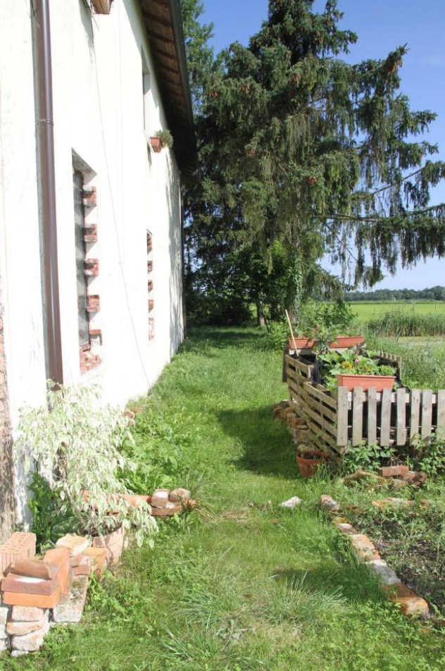 immagine annuncio 6 di 13