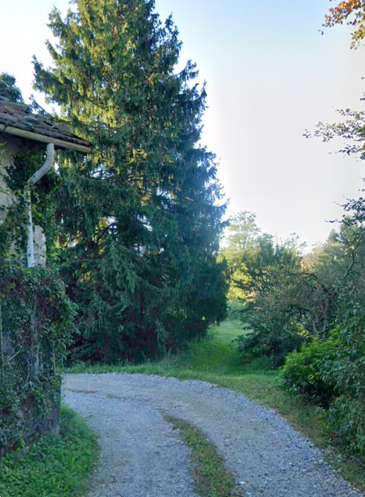 immagine annuncio 11 di 13