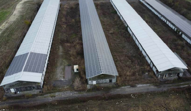 immagine annuncio 8 di 13