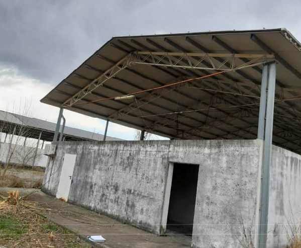 immagine annuncio 12 di 13