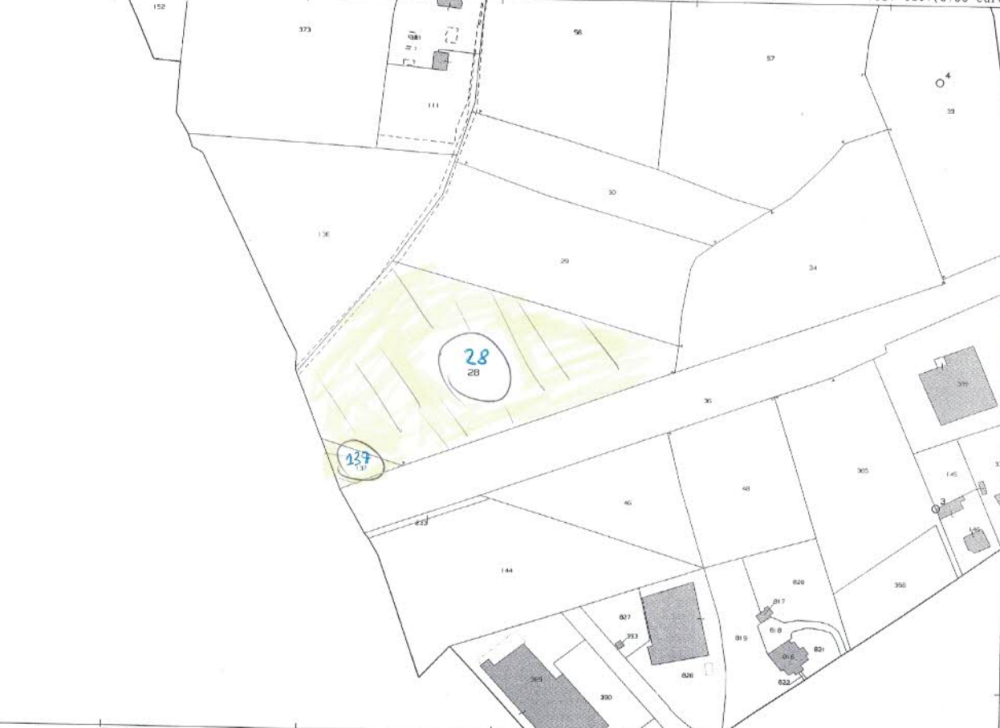 immagine annuncio 5 di 8