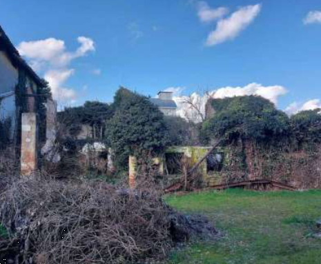 immagine annuncio 3 di 13