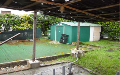 immagine annuncio 4 di 13