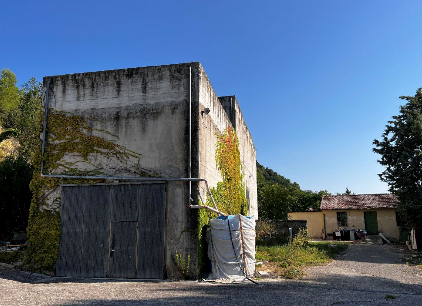 immagine annuncio 1 di 12