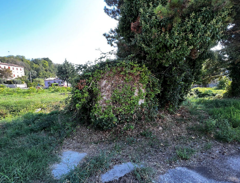 immagine annuncio 4 di 12