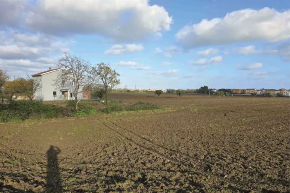 immagine annuncio 1 di 12