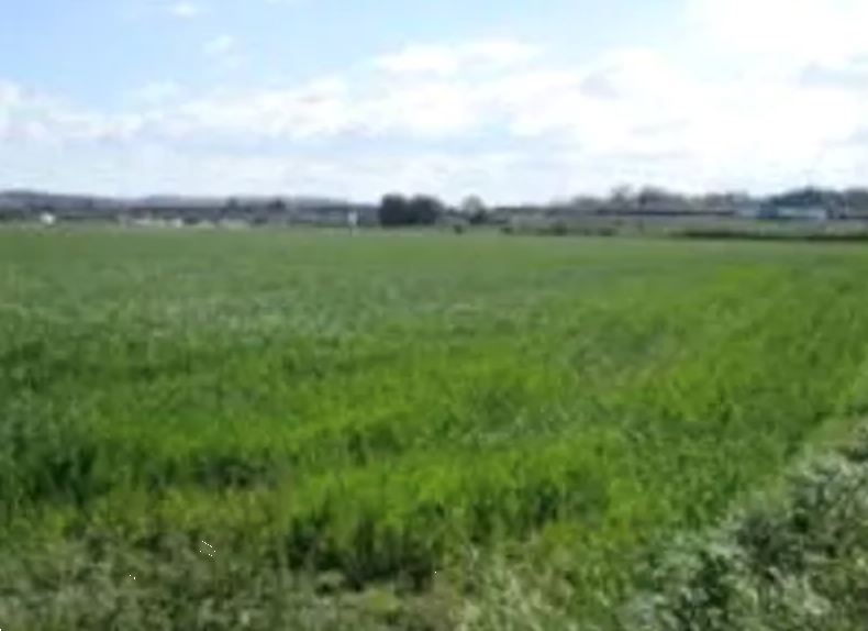 immagine annuncio 1 di 11