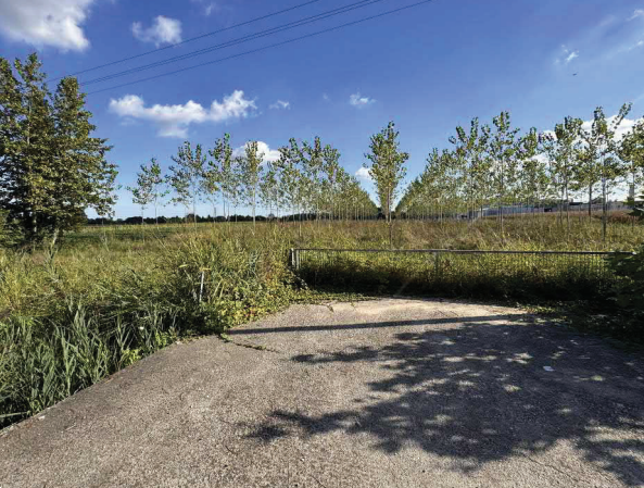 immagine annuncio 1 di 13