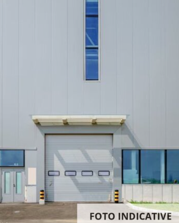 immagine annuncio 3 di 12