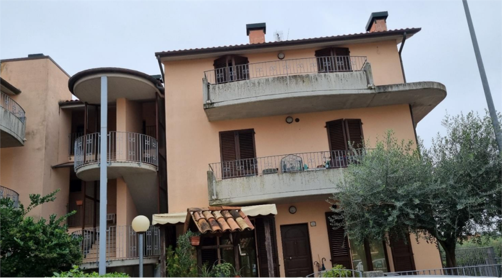 immagine annuncio 1 di 13