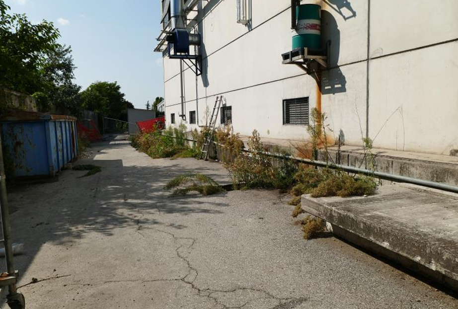 immagine annuncio 5 di 13