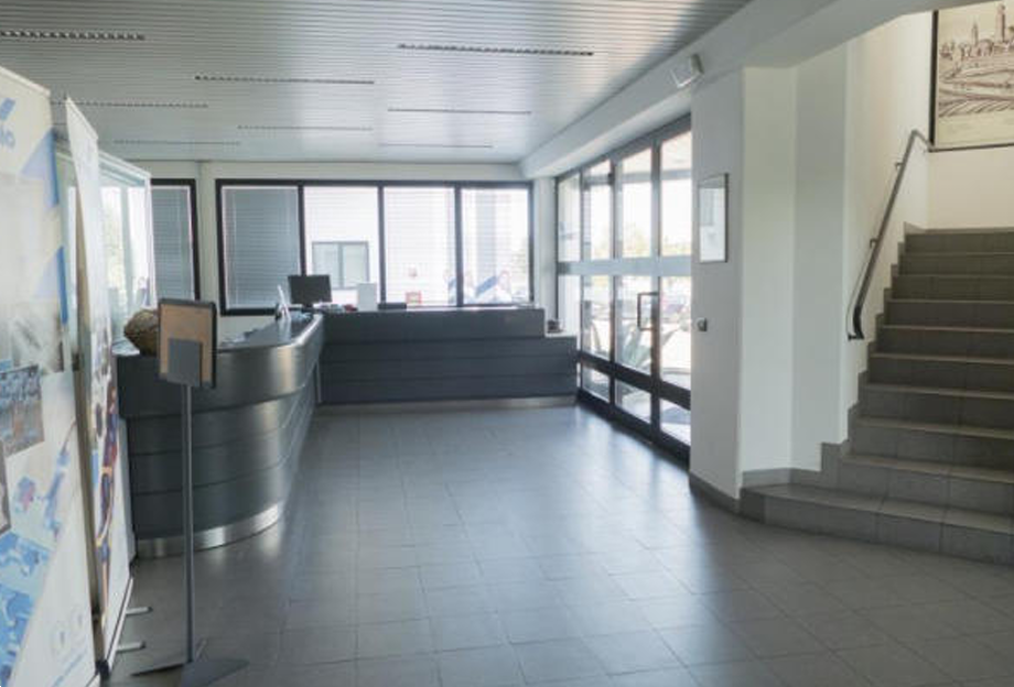 immagine annuncio 12 di 13