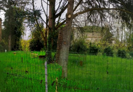 immagine annuncio 7 di 13