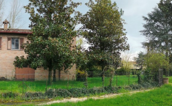 immagine annuncio 10 di 13